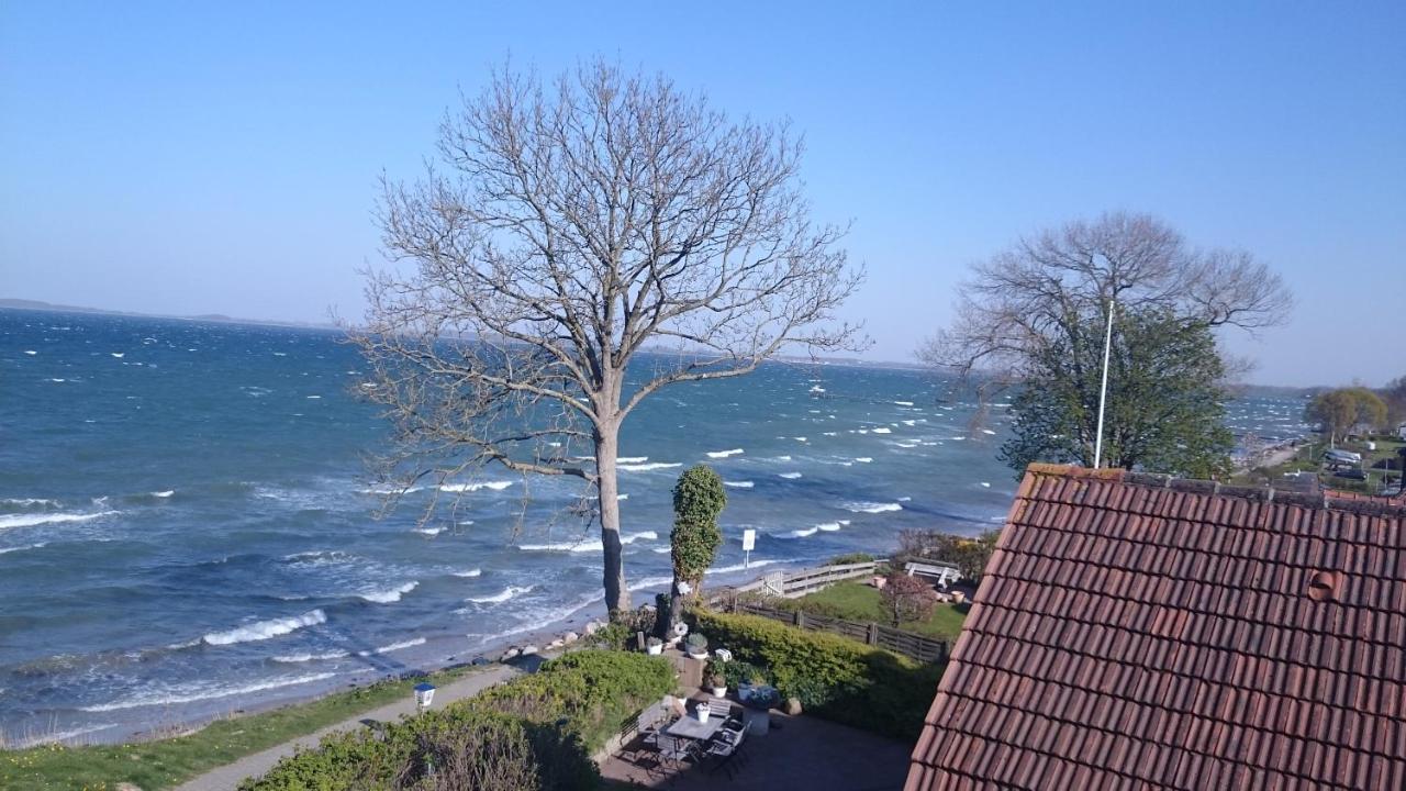 Strandappartements Steinberghaff "Kegnaes" Mit Meerblick Und Sauna Steinberg  エクステリア 写真